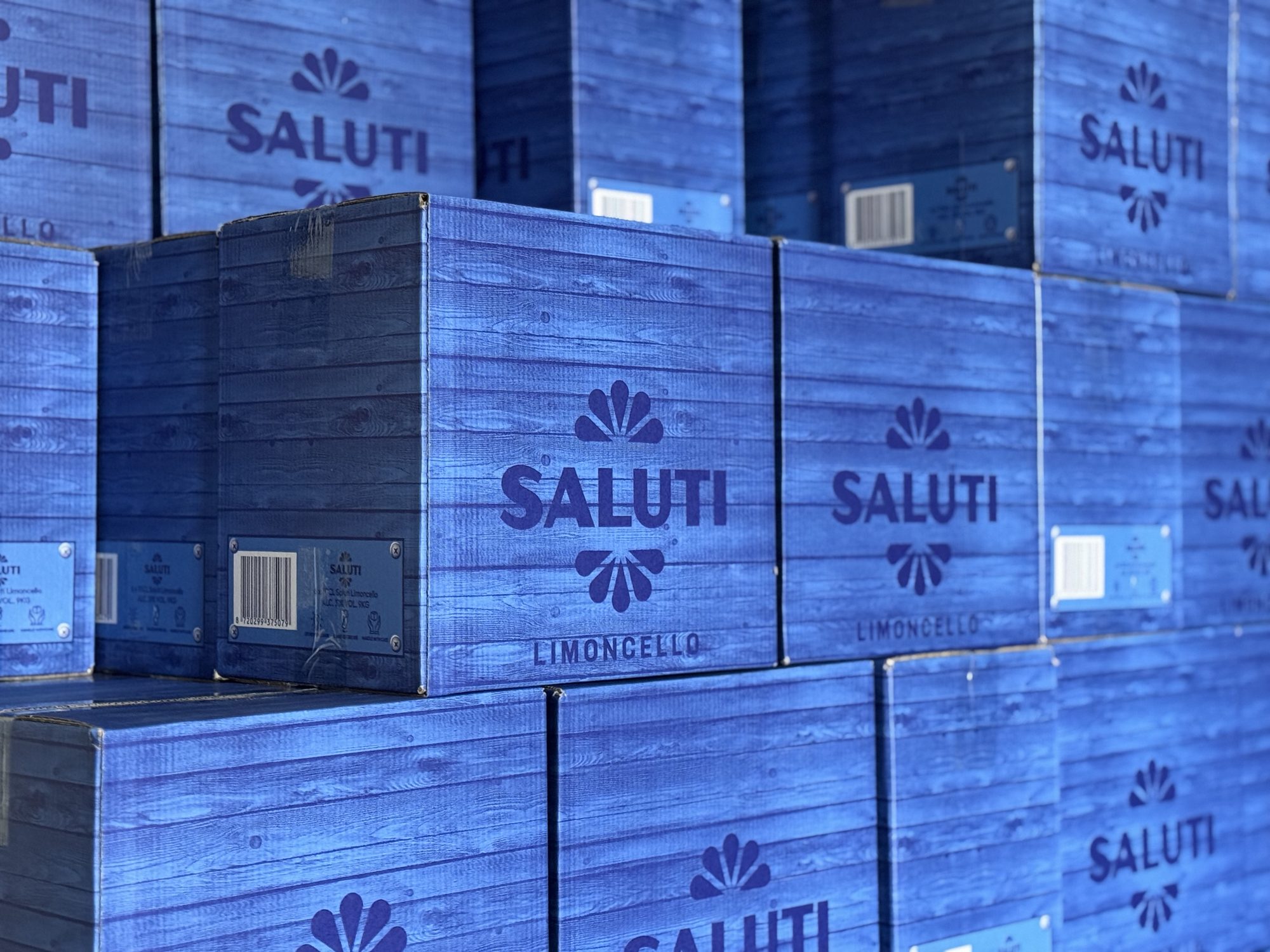 Saluti dozen